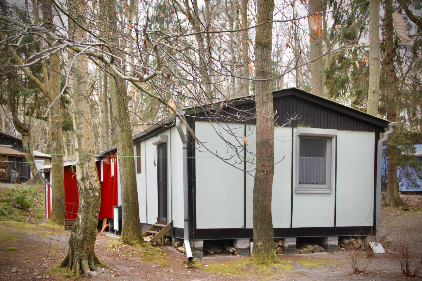 Küstenwald und Ostseestrand bei Bakenberg