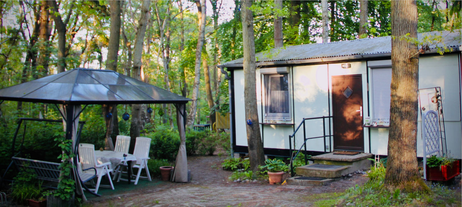 Küstenwald und Ostseestrand bei Bakenberg